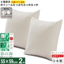 クッション 中身 【春の海 抗菌 防臭 防ダニ】 55×59cm 2個 セット 日本製 洗える 生地 綿 100％ テイジン ポリエステル綿 カバー 用 腰痛対策 椅子 ヌード 背もたれ ソファー ハンドメイド ボリューム たっぷり 交換 大きい 銘仙判【鞆のふとん家 公式】