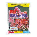 大和 無臭洋らんの肥料 600g 洋ラン 肥料 無臭 粒状