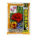 大和 技・醗酵油かす 大粒 2kg マグネシウム入り 肥料 元肥 追肥 お礼肥 寒肥 油粕