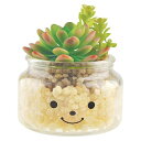 多肉植物 造花 鉢植え 消臭 抗菌 防汚 CT触媒 キシマ アーティフィシャルグリーン KH-61149