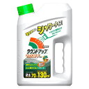 除草剤 ラウンドアップ マックスロードAL 2L 約20〜40坪 液剤 液体 そのまま使うタイプ 日産化学
