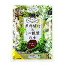 花ごころ 多肉植物&ミニ観葉植物の土 1L 培養土 元肥入り 土 多肉植物 観葉植物 園芸 ガーデニング