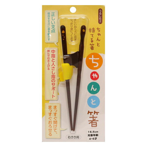 イシダ ちゃんと箸 16.5cm 右きき用 子供 矯正箸