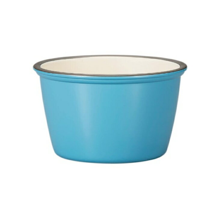 ボウル S ブルー 日本製 プラスチック レンジ対応 食洗機対応 ホーロー風 モースレ エマリエボウル