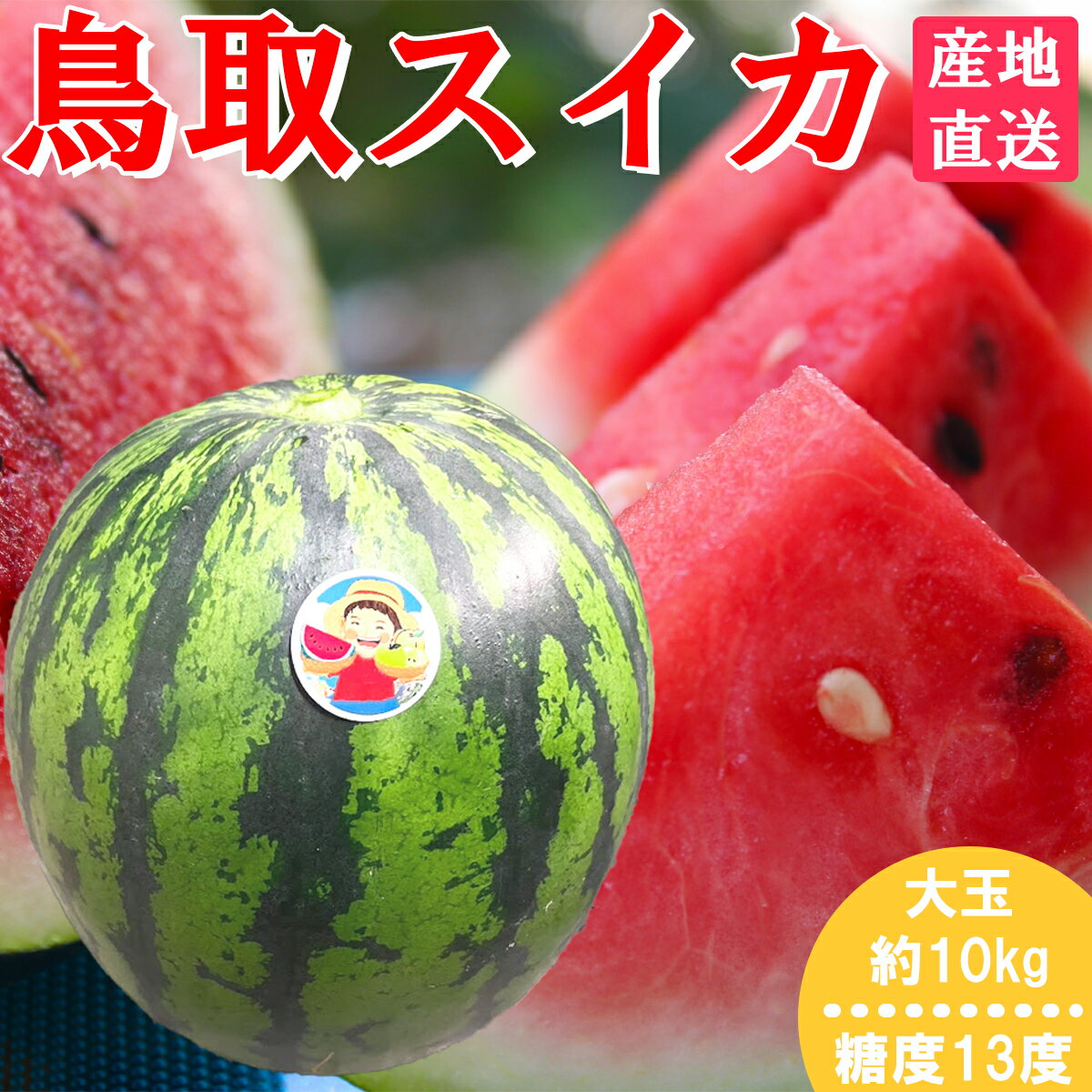 【7月10日17時まで】 スイカ 鳥取 大玉 朝採れ 産地直送 西瓜 フルーツ 果物 お中元 鳥取スイカ 1玉 すいか 10kg 糖度 13度のサムネイル
