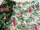 ハワイアン オオハシ・インコ・モンステラ 南国柄 オックス生地 (布 入園入学 内布 裏地 エプロン 衣装 帽子 カバン ポーチ クロス 巾着 カバーリング 資材 手芸 手作りハンドメイド)(3)