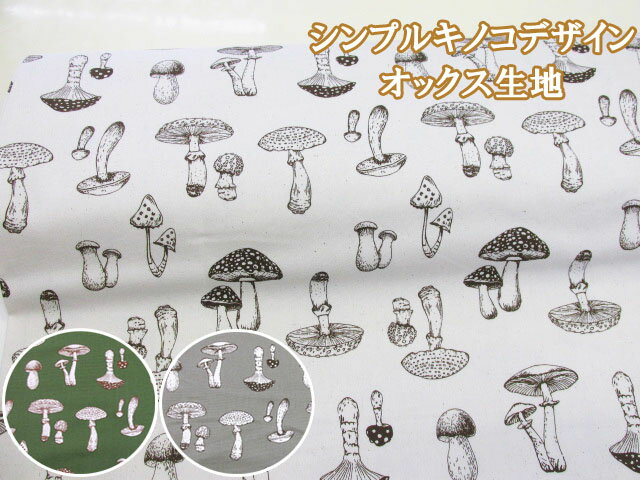 ȤŹŷԾŹ㤨֥ץ륭Υǥ󡡤Τå ( ˤλ λ åХå Τ ޥå롼 ʪ Хå ݡ ץ С   ϥɥᥤɡפβǤʤ110ߤˤʤޤ