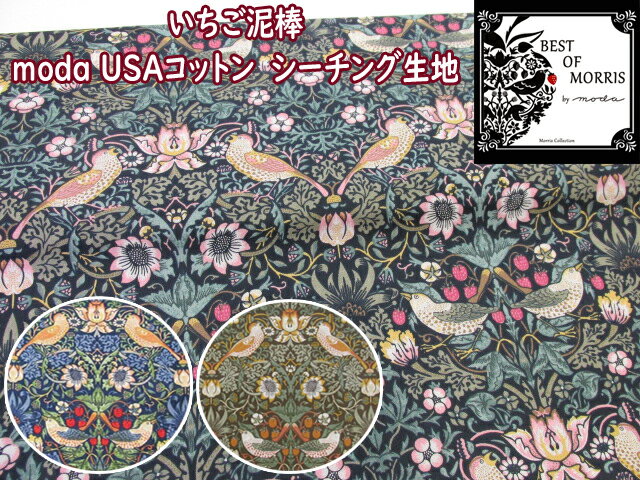 moda　USAコットン　Morris Collection　い