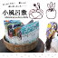 【風呂敷50x50cm】エスニックな小風呂敷♪ ラッピング/プレゼント/エスニック/モダン