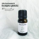 ユーカリ グロブルス 10ml Eucalyptus globulus/樹木系/精油/アロマエッセンシャルオイル/精油/遮光瓶