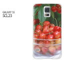 䂤pPyau GALAXY S5 SCL23P[Xz[scl23 P[X][P[X/Jo[/CASE/P|X][ANZT[/X}zP[X/X}[gtHpJo[][XC[cE()/scl23-pc-new0555]