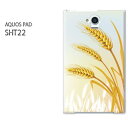 ゆうパケ送料無料【au AQUOS PAD SHT22 (アクオスパッド) ケース】 sht22 ケース ケース/カバー/CASE/ケ−ス アクセサリー/スマホケース/スマートフォン用カバー シンプル 秋 稲穂(ベージュ)/sht22-pc-new1579