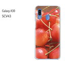 䂤pP Galaxy A30 SCV43scv43 MNV[ galaxya30 au simt[NA  X}zP[X Jo[ n[h |J[{l[g[XC[cE()/scv43-pc-new0611]