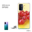 ゆうパケ送料無料 OPG02