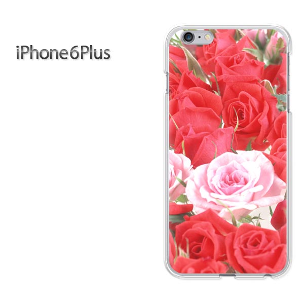 椦ѥ̵docomo/au/SoftBank iPhone 6 Plus[/С/CASE/ݥ][꡼/ޥۥ/ޡȥեѥС]ڥХB/i6p-M909