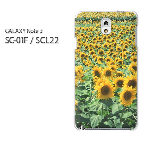 ゆうパケ送料無料【docomo/au GALAXY Note3 SC-01F/SCL22(ギャラクシー)ケース】[sc01f/scl22 ケース][ケース/カバー/CASE/ケ−ス][アクセサリー/スマホケース/スマートフォン用カバー][花・ひまわり(黄)/sc01f-pc-new0489]