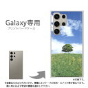 ゆうパケ送料無料 Galaxy専用 ケースSC-52F GalaxyS25 SC-54F ケース カバー PCケース おしゃれ 人気 カワイイアクセサリー スマホケース カバー ハード ポリカーボネート【ナノハナ畑/sc52e-M930】