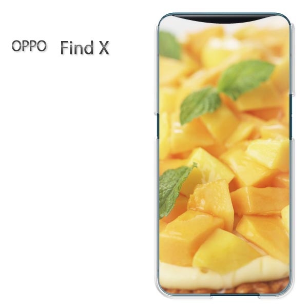 椦ѥ̵ OPPO Find X å findxfindx ŷХ simե꡼  Сꥢ Ʃ ϡɥ...