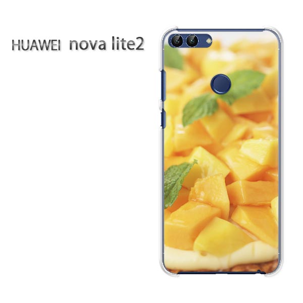 椦ѥ̵ nova lite2 ΥХ饤2 novalite2Υ 饤 ŷХ  Сꥢ Ʃ ϡɥ...