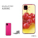 ゆうパケ送料無料 a205k