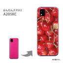 ゆうパケ送料無料 a205k