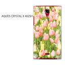 䂤pPySoftBank AQUOS CRYSTAL X 402SHP[Xz[402sh P[X][P[X/Jo[/CASE/P|X][ANZT[/X}zP[X/X}[gtHpJo[] [ԁE`[bv(sN)/402sh-pc-ne241]