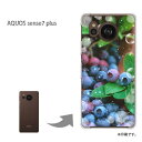 ゆうパケ送料無料 AQUOS