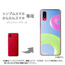 ゆうパケ送料無料 シンプルスマホ専用 かんたんスマホ専用 ケースあんしんファミリースマホ ケース カバー PCケース おしゃれ 人気 カワイイアクセサリー スマホケース カバー ハード ポリカーボネートシンプル・夏・浮き輪(ブルー)/pc-new1493