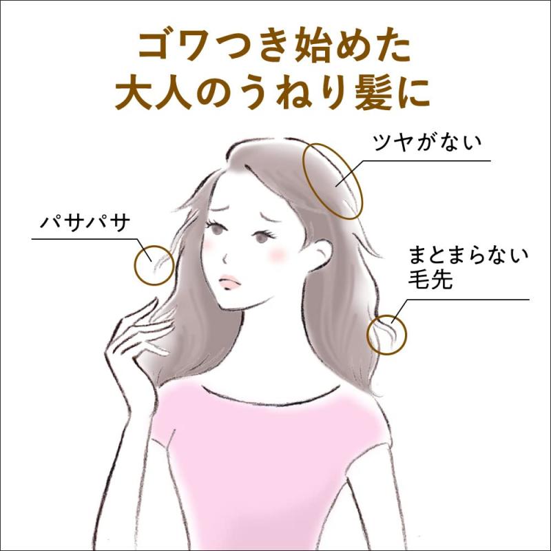 セグレタ プレミアム スパ フォーム シャンプー &amp; コンディショナー スターターキット 濃密な 炭酸..