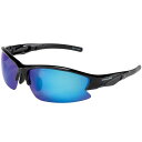 Rawlings(ローリングス) 野球 スポーツ サングラス マイクロファイバーバッグ付き 偏光レンズ UVAカット キズ防止コーティング REW21/22