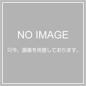 KYORITSU ɼǼշӥ MODEL9089