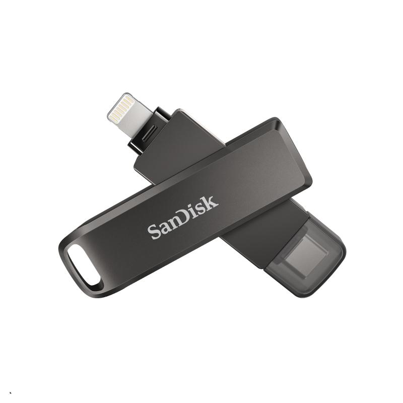 TYPE-C SDIX70N-256G-GN6NE nig Flash