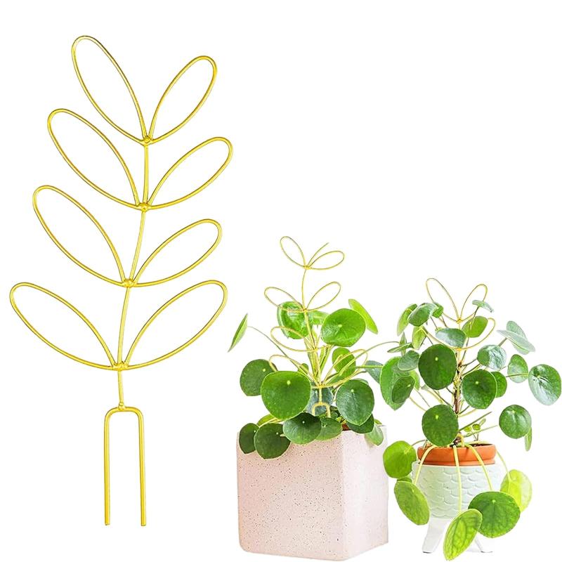 園芸支柱 植物支柱 朝顔 支柱 モンステラ 支柱 植物サポートフレーム 観葉植物 支柱 長期間使用 植物支柱 農業用 園芸用 成長段階 植物倒れ防止 植物の登山に使用 (ゴールド) [並行