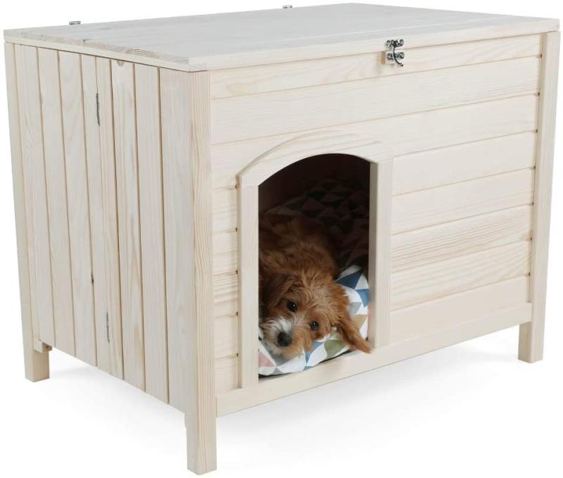 petsfit  ȤΩ ǭ ǼǤǭȥ [ŷ ] ǭѥȥǼС    ǭ  ...