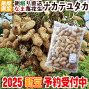 ★2025新豆★予約受付中\令和7年度産/なま落花生ナカテユタカ・1kg 【簡単レシピ付き】【クール冷蔵便】【期間限定】【自宅で作るゆで落花生】【栽培期間中無農薬・契約農家さんが心を込めて育てた】【生落花生】【なま落花生】
