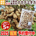 ★2025新豆★予約受付中\令和7年度産/なま落花生ナカテユタカ・1kg 【簡単レシピ付き】【クール冷蔵便】【期間限定】【自宅で作るゆで落花生】【栽培期間中無農...