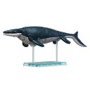 BANDAI SPIRITS(バンダイ スピリッツ) プラノサウルス モササウルス 色分け済みプラモデル 2639638(3)