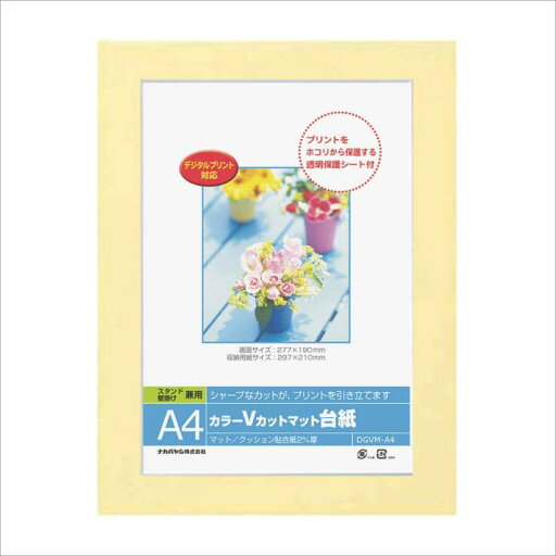 ナカバヤシ A4判 カラーVカットマット台紙 イエロー DGVMーA4ーY ナカバヤシ A4判 カラーVカットマット台紙 イエロー DGVMーA4ーY