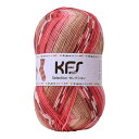 Opal毛糸 セレクション KFS132 チリ レッド系マルチカラー(3)