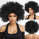 トミーショップ 楽天市場店で買える「ウィッグ レディース アフリカ 黒人 爆発 パーマ 小卷 カール ヘアピース ディスコ コスプレ」の画像です。価格は4,507円になります。