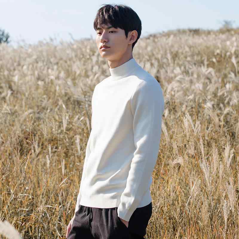 ニット メンズ 男性用 タートルネック セーター トップス 秋冬 起毛 暖かい 黒 ブラック 白 オフホワイト ポリエステル