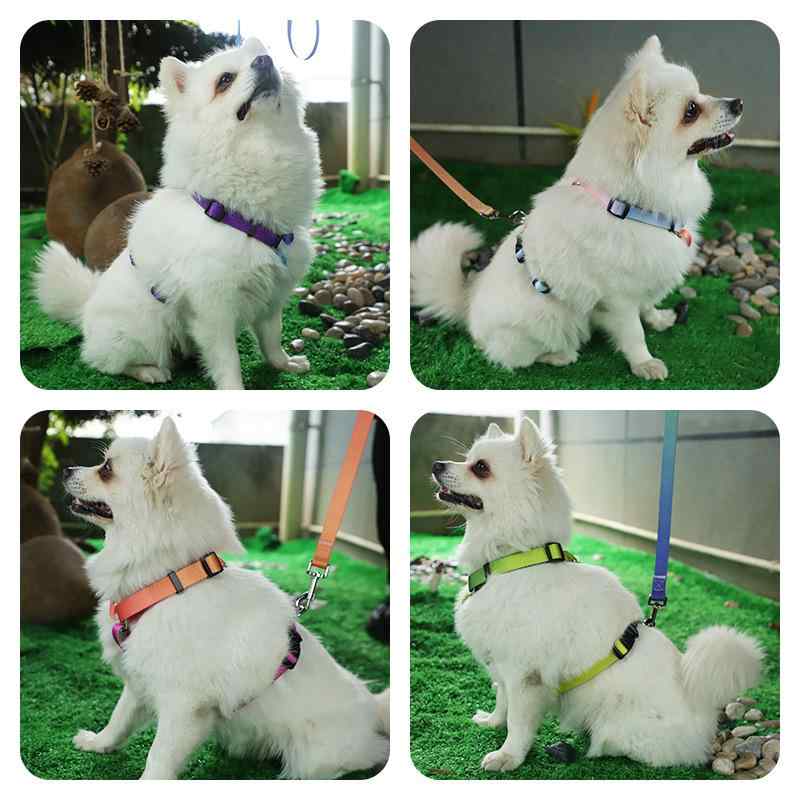 犬用品 ハーネス リード セット 小型犬 中型犬 大型犬 ペット 牽引ロープ ポリエステル グラデーション ドッグ 散歩 お出かけ かわいい おしゃれ