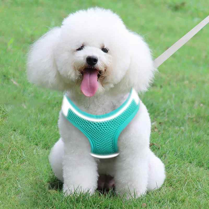 ハーネス 小型犬 猫 兼用 散歩紐 ポリエステル 反射素材 リード セット XXS XS S M L レモンイエロー ミントグリーン 桜色 脱げにくい 胴輪