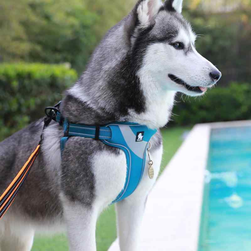 ペット 胸当て ハーネス 通気性 反射板付き 犬用 リード 胴輪 中型犬 大型犬 ベスト ナイロン ブルー グレー ブラウン ブラック レッド