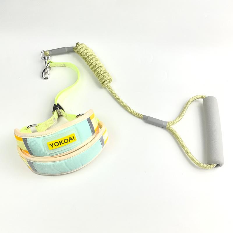 ペット 首輪 リード 猫 犬 兼用 ナイロン 伸縮性 散歩 お出かけ用 小型犬 中型犬(x2)