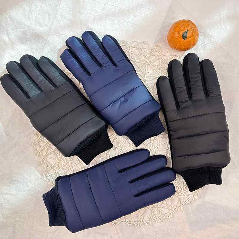   ɴ ΢ Ȥ  ȥɥ л   եåʪ ֥å ֥롼(x500)