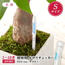 【 送料無料 】 サスティー Sサイズ 1~10本セット SUStee 水やりチェッカー サスティ 水やり 植物 観葉 観葉植物 タイミング 目安 頻度 園芸 園芸用品 家庭菜園 ガーデニング ガーデニング用品 測定器