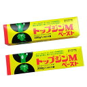 トップジンM ペースト 200g 2本セット 剪定 切口癒合剤