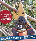 【ポイント6倍】剪定ばさみ サクサク切れる 2段階調節可能 （黒+金色） 錆びにくい フッ素コーティング 剪定バサミ 剪定鋏 せんていばさみ 園芸用はさみ 枝きりばさみ 剪定はさみ 枝切りバサミ 太い枝 FORESIA フォレシア 送料無料