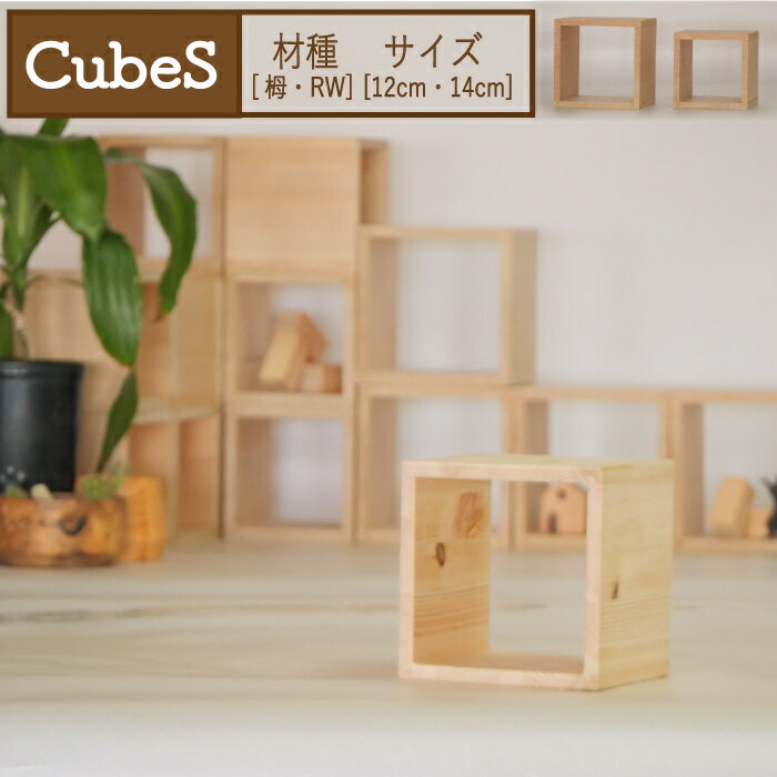 キューブス 飾り棚 キューブボックス コレクションケース おしゃれ 卓上 ディスプレイ台 フィギア展示..